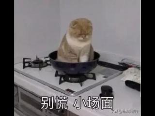 第一次坐飞机常见尴尬（第一次坐飞机的尴尬）