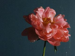 有意境的旅行句子简短（旅行时发的文艺简短句子）