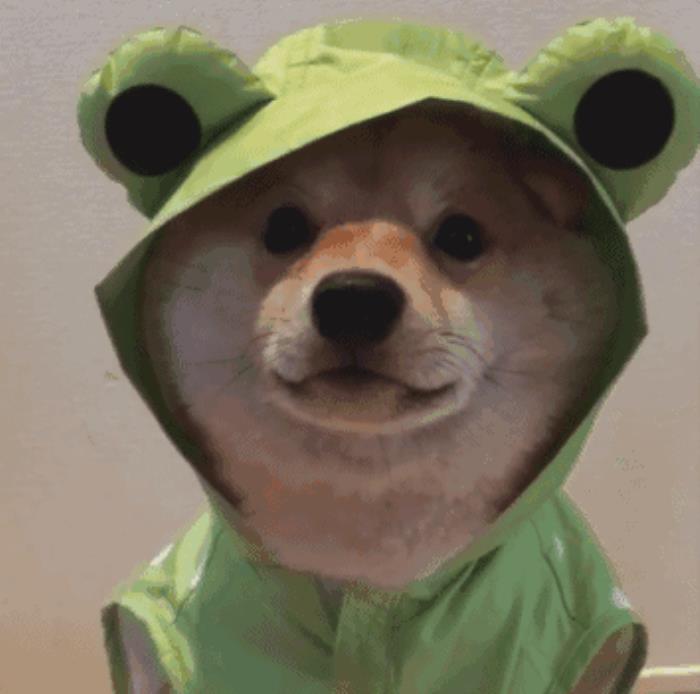 逗比搞笑图片逗比搞笑表情包合集