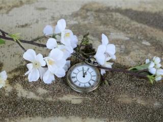 精辟人生感悟句子（非常精辟的人生感悟句子）