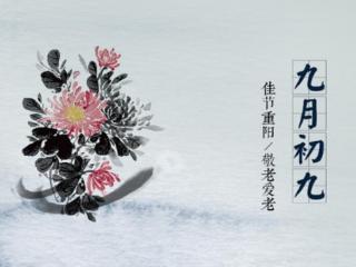 重阳节吃什么（2018年重阳节吃什么好）