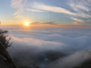 鼠的四字吉祥语（2020年鼠谐音四字吉祥语）