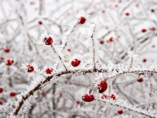 下雨感慨说说心情（一个人下雨天的心情说说）