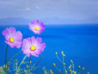 婚姻不顺怎么办（过不好又离不了的婚姻）