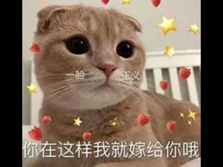 高级土味情话（12句最火的高级土味情话）