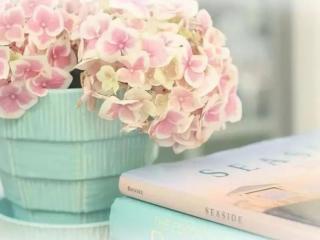 女人渴望收到什么礼物，女人想要的礼物是什么