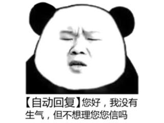 自动回复搞笑（超搞笑微信自动回复表情包）