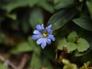 美文美句（喜欢安静地读这些美句）