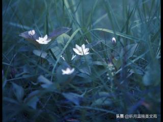 眼里心里都是你（一个眼里心里都是你的人）