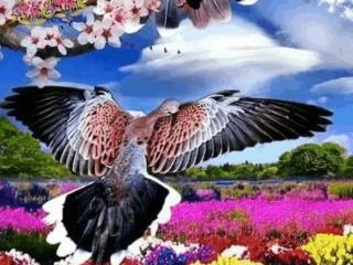 新的一天新的开始（愿你幸福快乐每一天）