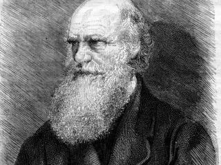 进化论被推翻（达尔文进化论只是假说）