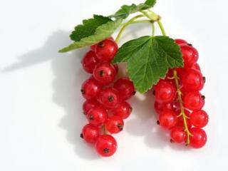 孕妇不能吃的东西有哪些（9种孕期不能吃的食物）