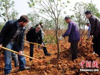 植树节手抄报文字（植树节的由来诗句故事）