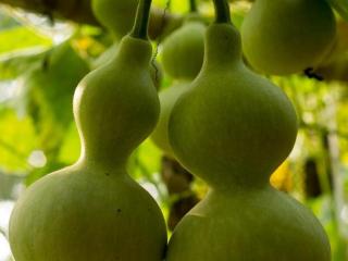 办公室里的故事（办公室的故事——竹杖芒鞋轻胜马）