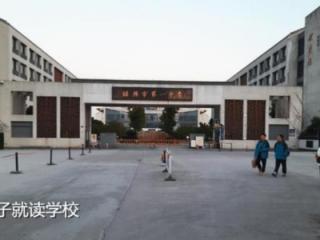 亲母杀子案件（母亲带其至宾馆刺死）