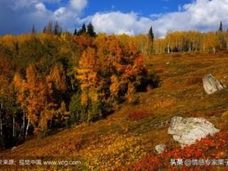 感情专家咨询网（情感咨询｜栗子姐每日情感问答）