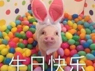 生日祝福图片（生日快乐祝福表情包）