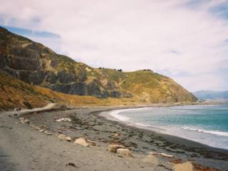 冷笑话大全爆笑（10个笑到停不下来的冷笑话）