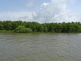 好的个性签名大全（最好最简短的个性签名）