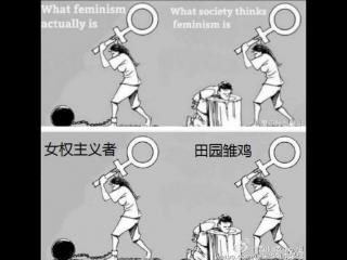 中华田园女权（畸形的中国式田园女权）