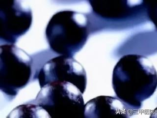 理中丸和附子理中丸的区别（现代科学语言解读理中丸）