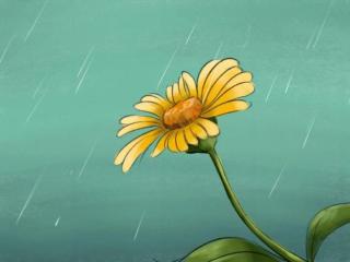 听雨的心情短句（岁月静好；听雨一世）