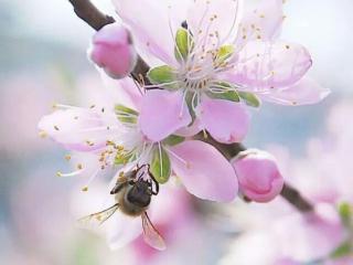 致心爱的人一封信催泪（却又不能在一起的人一封信）