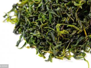 苦丁茶的禁忌（这些禁忌要点得牢记）