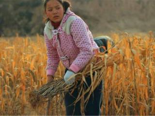 可怜之人必有可恨之处下句是什么（可怜之人必有可恨之处）