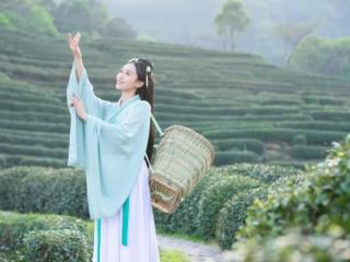 最美的爱情古诗（15首最美七绝情诗）