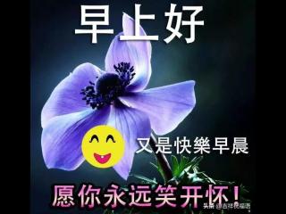 赞的图片（微信很赞的早上动画图片）