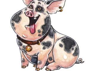 属猪的年份表（属相对应年份——猪）