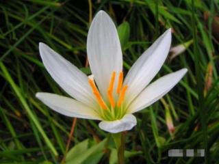 做人人品很重要的句子（一切才会好；人品正）