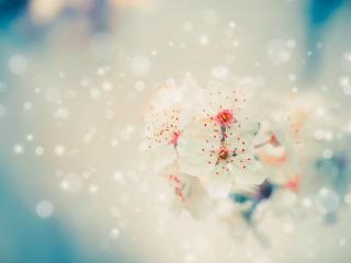 老公有外遇的生理表现（生理反应是藏不住的）