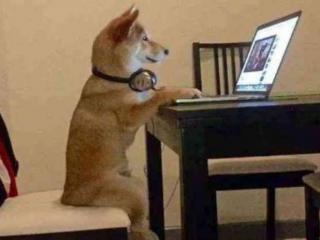 追剧是什么意思（逃避式追剧是什么意思）