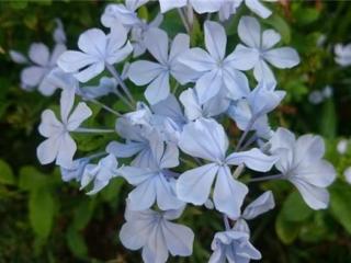 大道理人人都懂（人生大道理的一些美句）