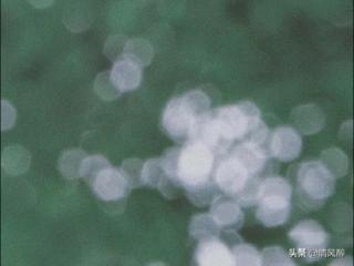 夏天冷的说说（夏天心情说说文艺小短句）