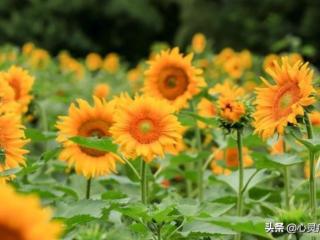 关于喝酒的说说（适合喝酒发的高逼格朋友圈）