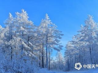 天气冷（新一轮寒潮天气来袭）