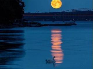 夜深人静的心情句子（夜深人静心情感悟的经典说说）