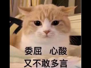 抑郁症对待爱情的表现（如何与抑郁症患者谈恋爱）