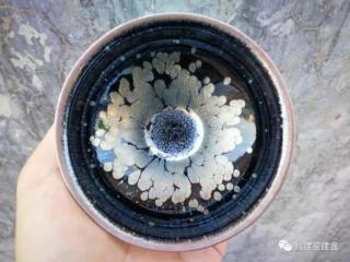 一杯子一辈子语录（大抵就是一杯子换一辈子）