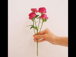 形容心情好的句子唯美（好心态好心情的句子）