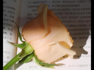 形容天气好的优美句子（好天气好心情外出郊游的心情说说）