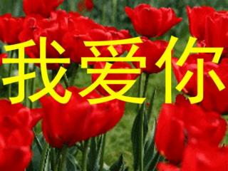 写给男朋友的心里话（送给男朋友的最美的心里话）