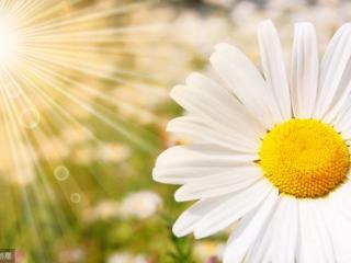 写给妈妈一段暖心的话（写给妈妈的一段暖心话）