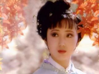 续红楼之黛玉的爱情（宝玉和黛玉的爱情经不住考验）