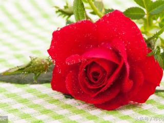 写给无法在一起的人（送给相爱却不能在一起的人）