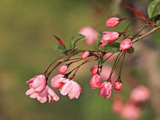 形容家的温暖的句子（温暖明亮；幸福的家）