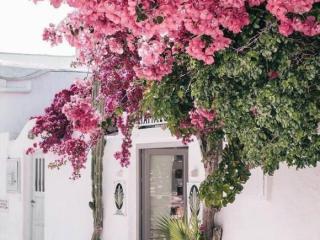 写给妹妹暖心的话（关于闺蜜的简短可爱暖心说说）